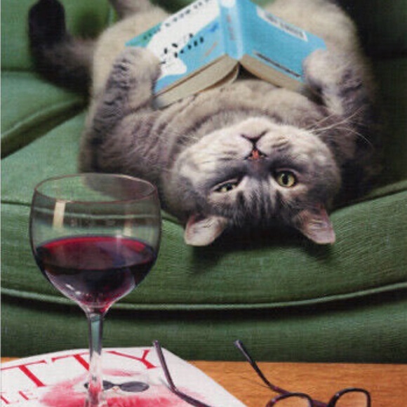 madam_meow